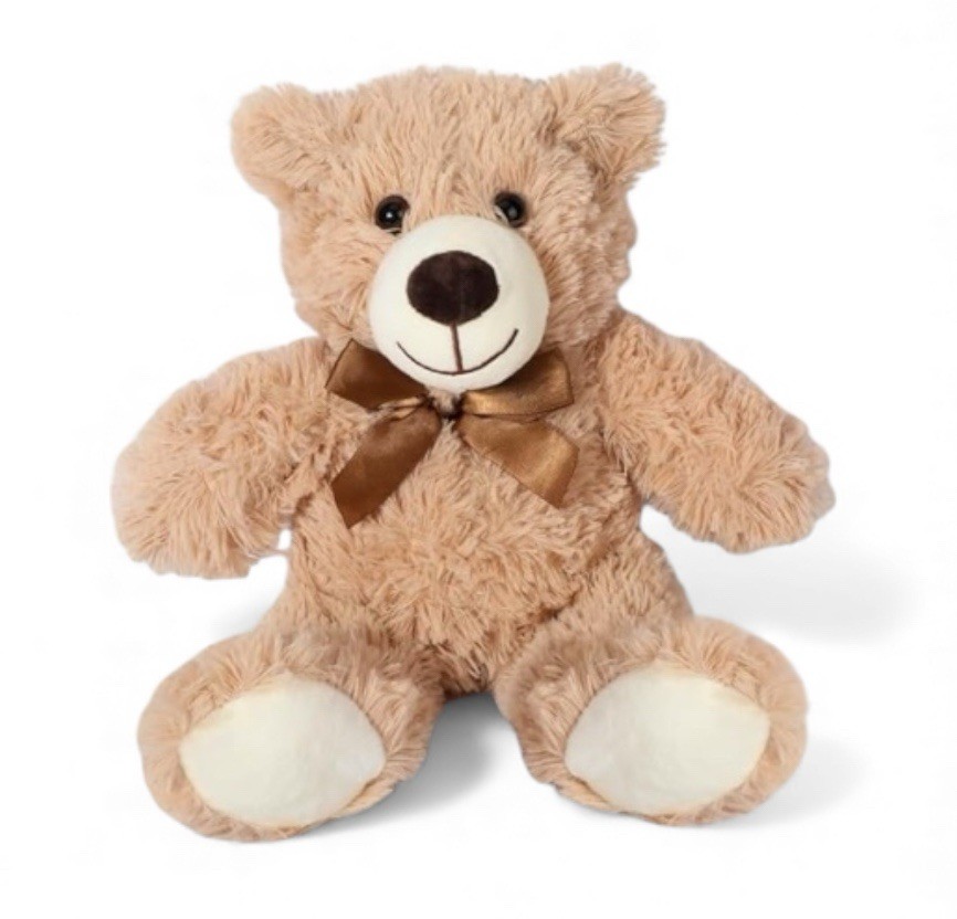 Teddy Expressions VOICE RECORDER Plush Bear - Stuffed Animal