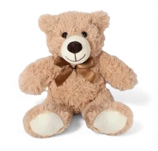Teddy Expressions VOICE RECORDER Plush Bear - Stuffed Animal Toy