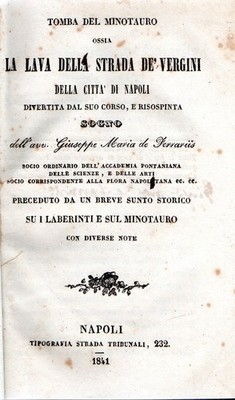 Tomba del Minotauro ossia La lava della Strada de' Vergini della Città di Napoli