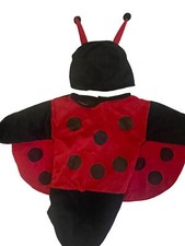 Lady Bug Halloween Costume 0-6m