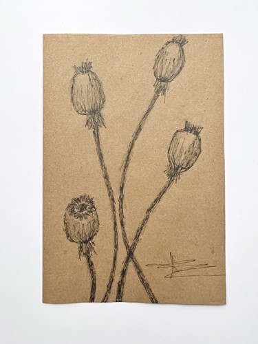 Poppy Pods Art 6” Poppy Heads Drawing Botanical Sketch Brown Aesthetic Wall Art - Picture 7 of 11