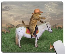 Mouse Pad, Funny Cat and His Dog 9.5L x 7.9W inches, CF102