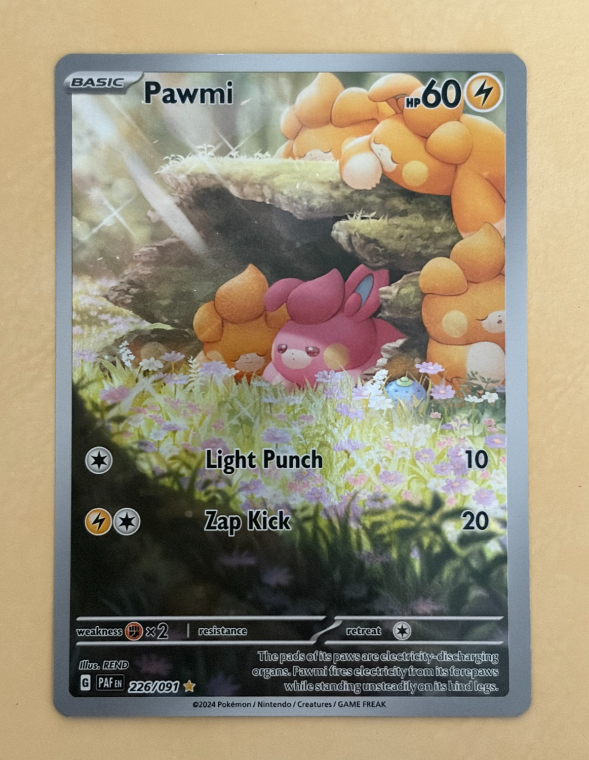 Pawmi~Cute Pokemon Card~ Botanical Garden Gallery ~Nature