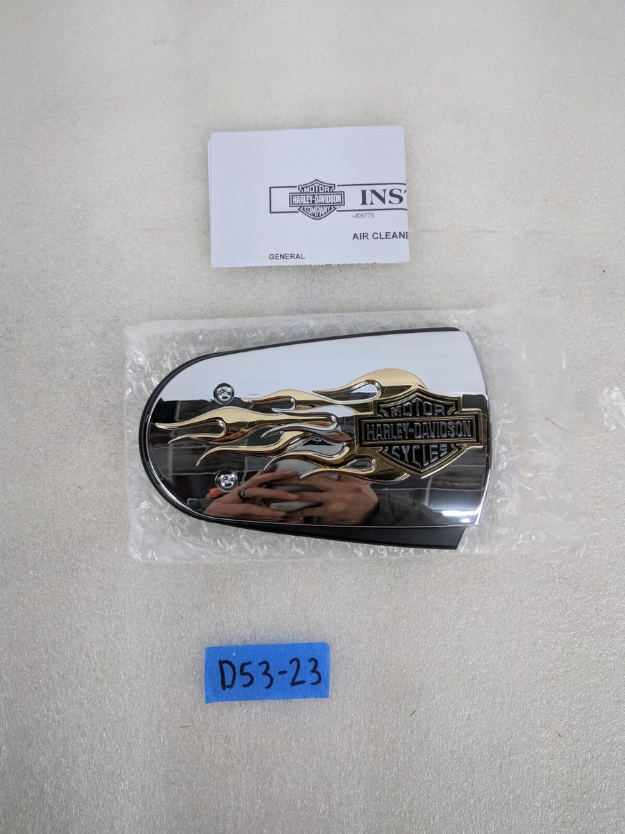 Harley-Davidson Air Cleaner Flames, Gold And Chrome Trim Kit