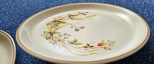 MARKS & SPENCER (M&S) ‘HARVEST’ DINNER PLATES x4 Excellent condition for age. - Picture 7 of 15