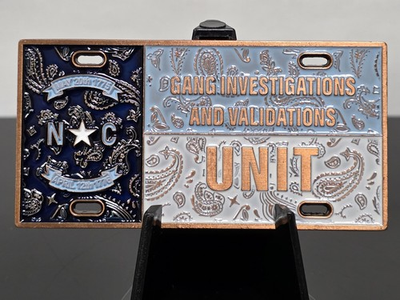 #ad #ad 🔥SERIAL # 20 NORTH CAROLINA GANG INVESTIGATION AND VALIDATIONS BRONZE TARHEELS $89.00