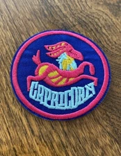 Capricorn- Astrology Zodiac Sign Horoscope Iron-On Embroidere