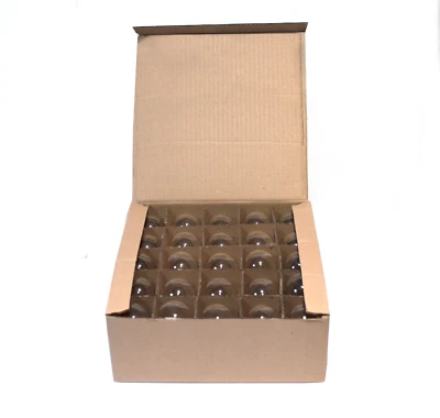 HOMETOWN EVOLUTION, INC. Box of 25 ST40 Clear 7W C9 E17 Base Replacement Bulbs for String Lights