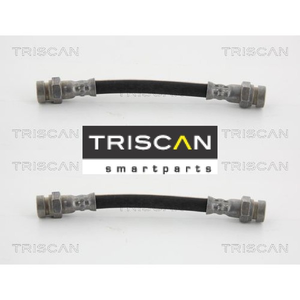 2X Bremsschlauch Triscan 815029210 2 BremsschläUche Rechts Links Hinten-image