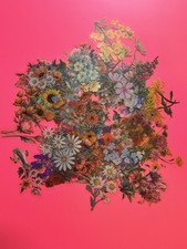 50 Pieces Natural Flower Themed Stickers for Scrapbooking, Self-Adhesive