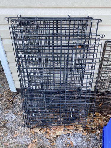 Chicken runner Kennel