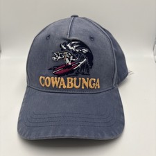 Blue Hollister Surfing Cowabunga Hat