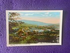 Lot of (7) Vintage Assorted Post Cards  Lot 4 — photo 8