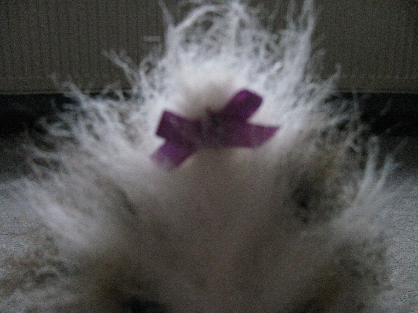 Bild 3 von 7