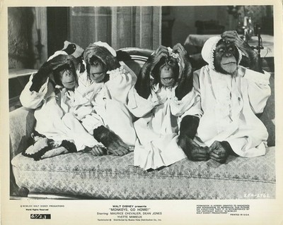 Monkeys Go Home Filmszene Schimpanse Schimpansen bedecken Köpfe Vintage Foto
