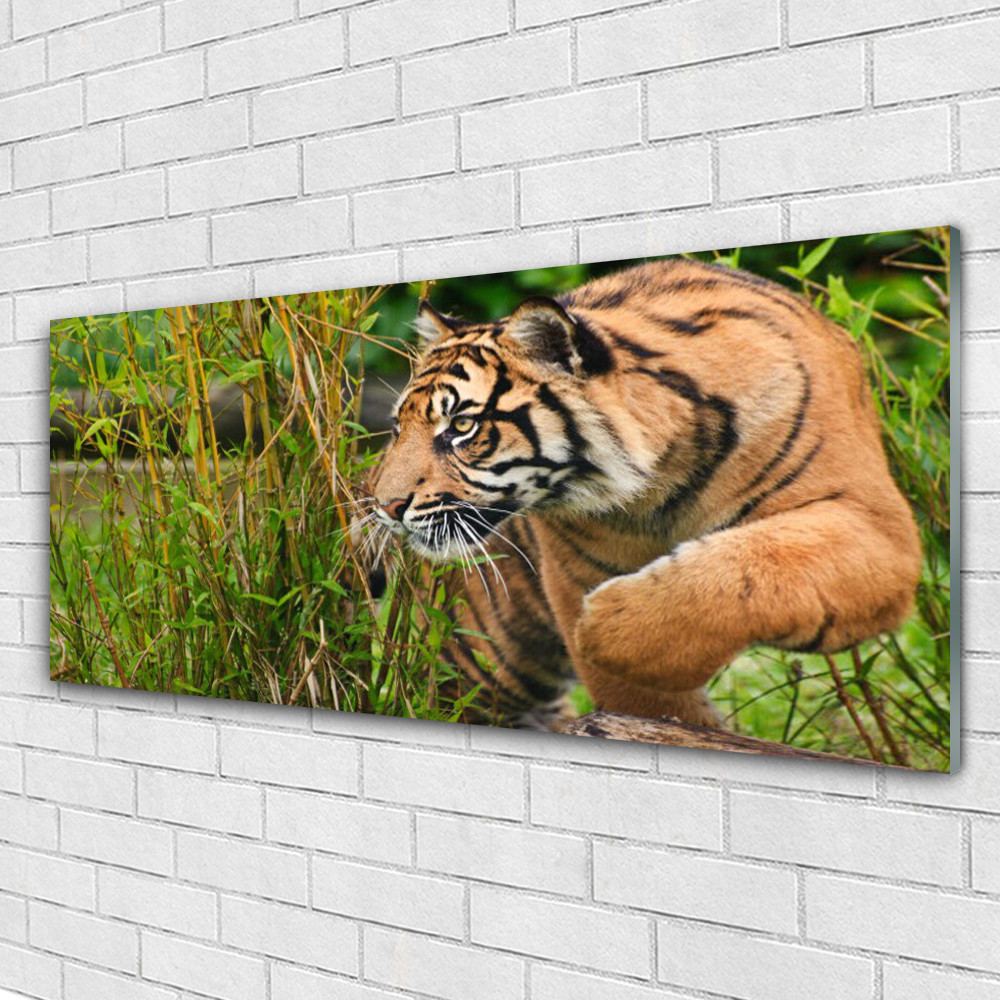 Tableau 125x50 animaux tigre en plexiglas haute finition luxe