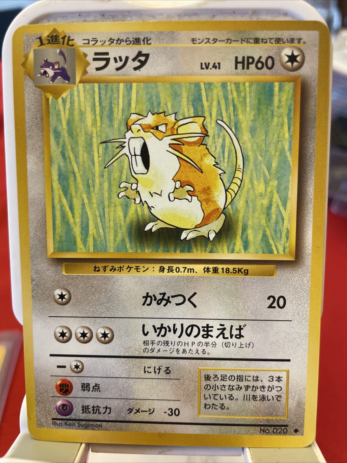 Pokemon 1996 Japanese Base Set Uncommon #020 - Raticate - LP/Played