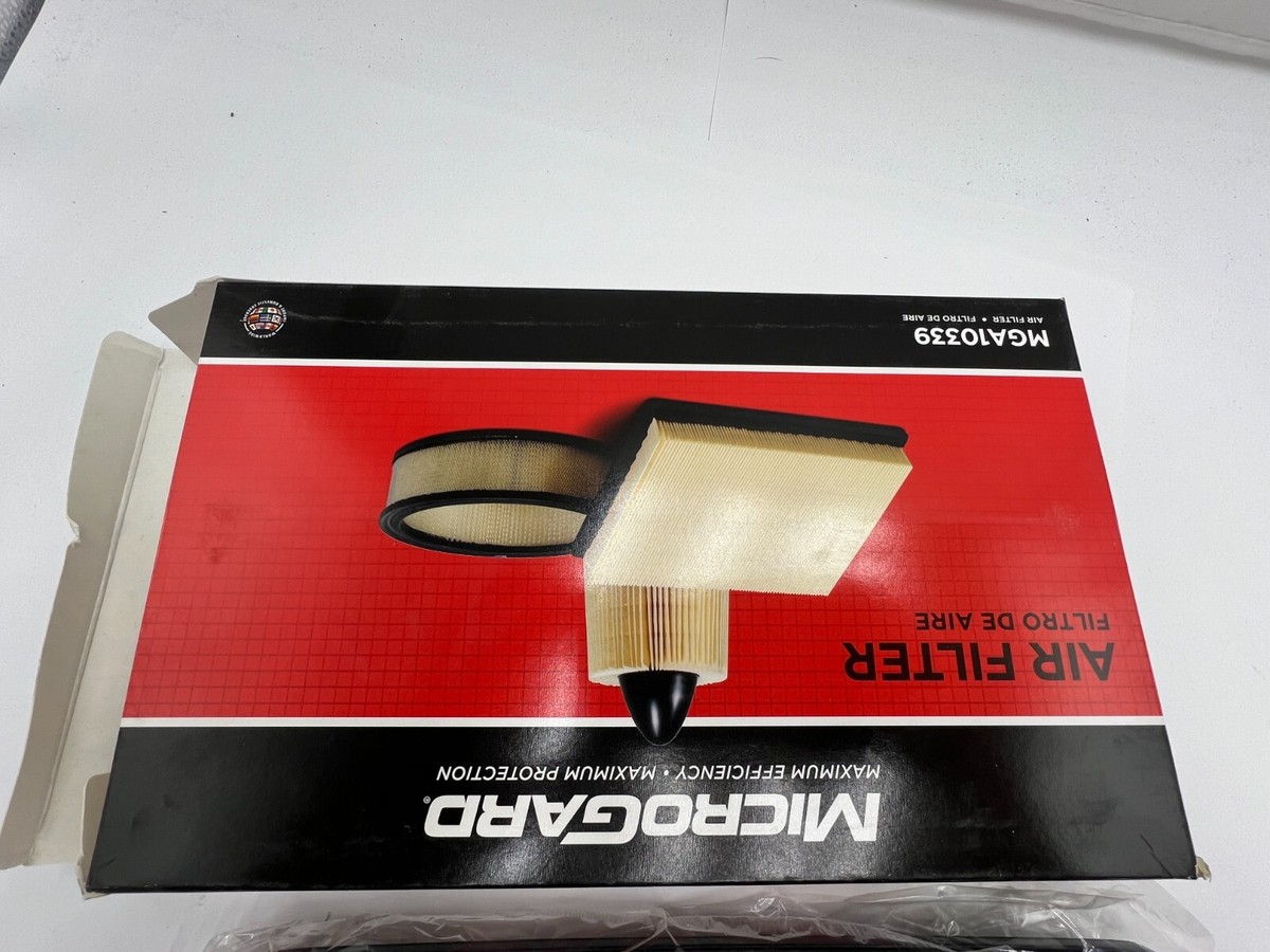 rikurin 011、019、046、074 Qty 2 Genuine MicroGard Panel Air Filters MGA10339 fits 2019