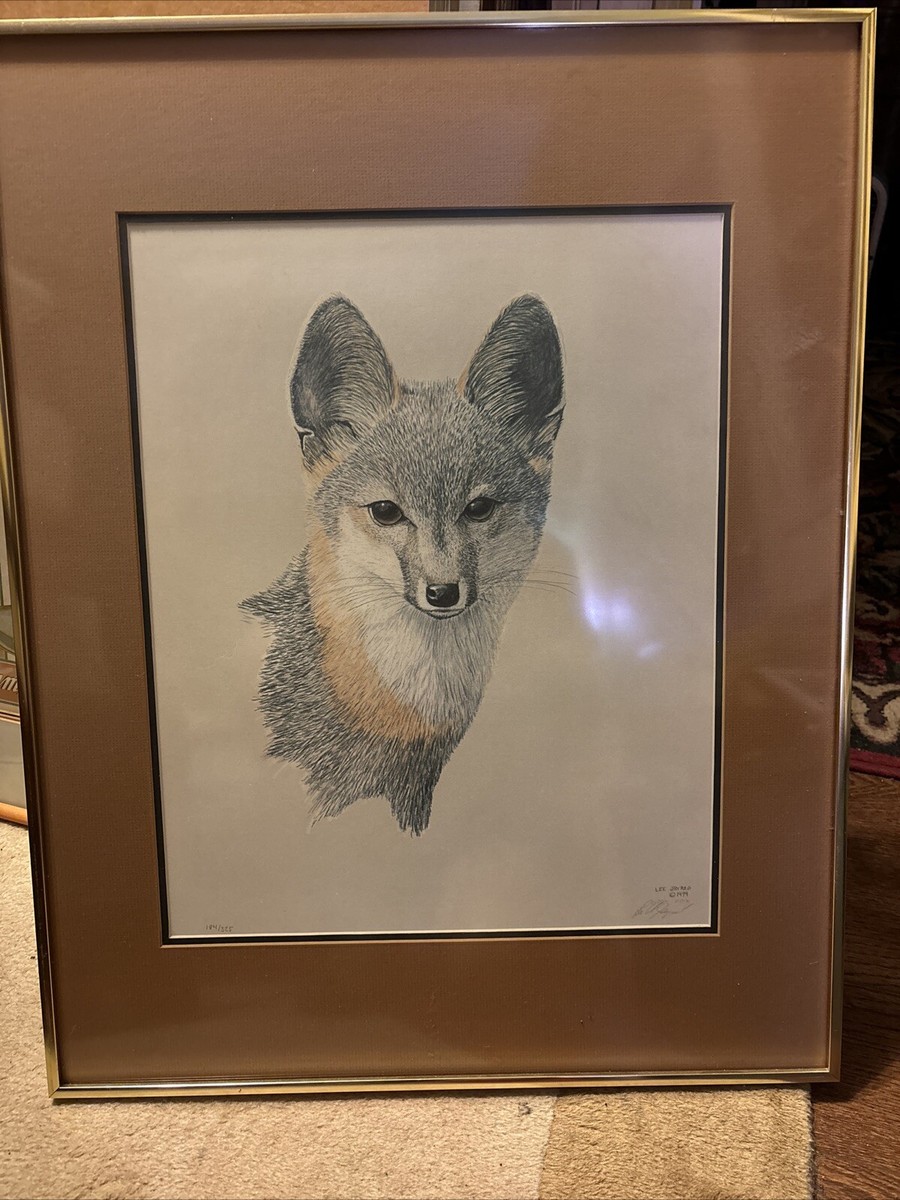 Grey Fox Framed, Signed & Numbered Lithograph by Lee Jayred #184