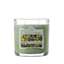 Bayberry Scented Jar Candle, 2 Wick, 3.5 oz, Mottled Wax Candle