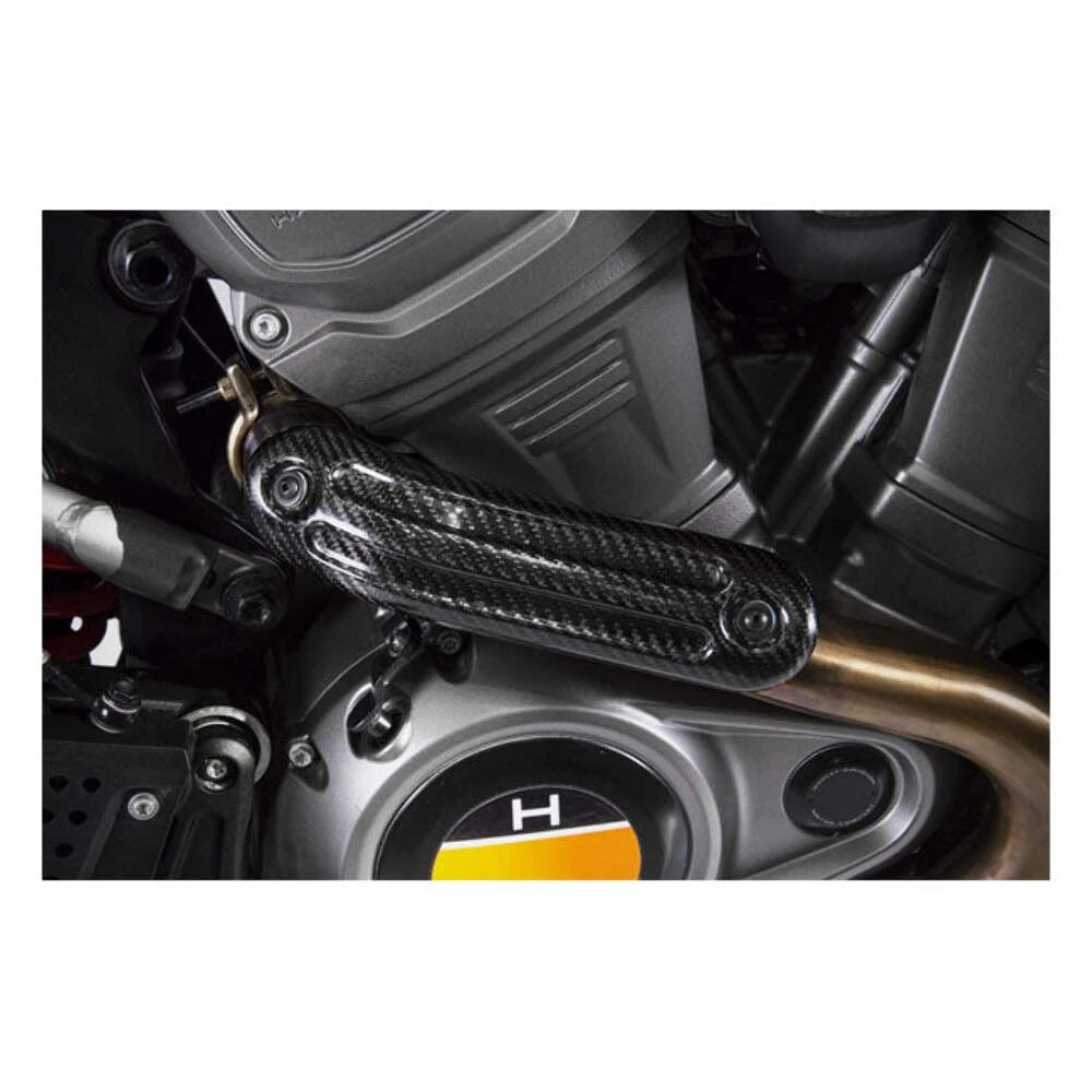 Zard, thermal carbon protection for Pan America