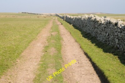 Foto 6x4 Spur durch Felder, Lundy Island Acklands Moor viel von Lundy c2015