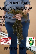 15 cabomba live plants planted tank aquarium. Buy2Get1Free  Free mystery plant