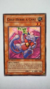 Card Yu Gi Oh Cat Fet Fr013 Cat Grass A Ebay Card Yu Gi Oh Cat Fet Fr013 Cat Grass A Ebay