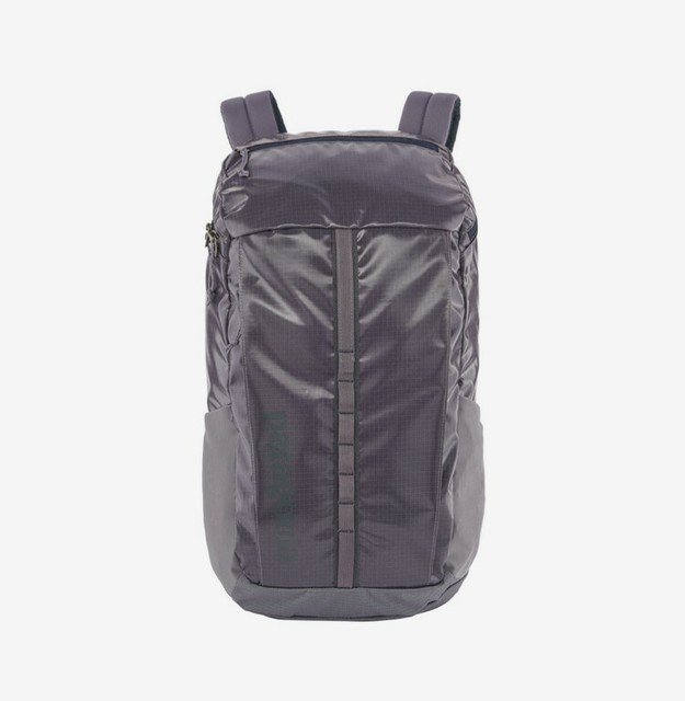 ebay patagonia backpack