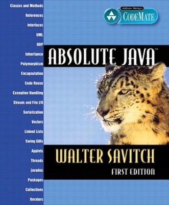 ABSOLUTE JAVA By Walter Savitch *Excellent Condition*