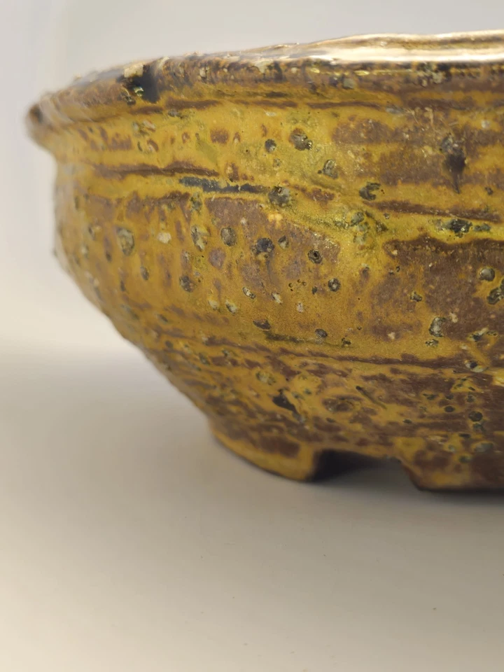 Tom Phardel Bonsai Olla Semicascada Sal Esmaltada 9"x9"x3.5" Foto 2 de 4