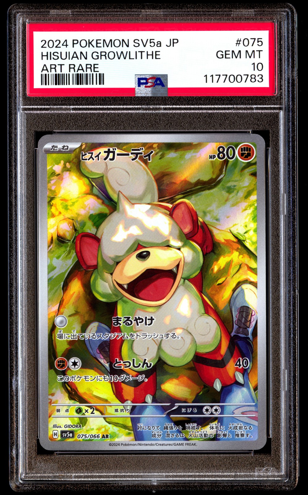 PSA 10 Hisuian Growlithe 075 Pokemon SV5A Crimson Haze Japanese 2024 Art Rare