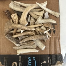 1 Pound Deer Elk Antler Tips Tine Craft Points Shed Jewelry Knapping Tool Flint