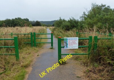 Photo 6x4 Trent Valley Way at the Attenborough Nature Reserve Barton in F c2015