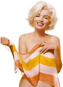 Marilyn Monroe Pink Veil Naked Stretched Canvas Art Movie 