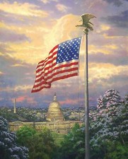 Americas Pride Flag Digital 35" Panel 100 Cotton Fabric by The Panel