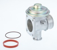 Borgwarner AGR Ventil 710921D FüR BMW 3Er E46 Touring 5Er E39 7Er E38 Compact 1