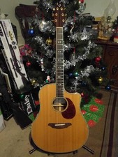 Breedlove Atlas AD25/SR Plus