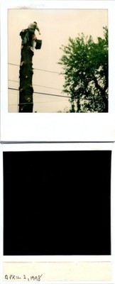 Tree Worker Arborists cutting Tree Found Polaroid Color Photo V0180
