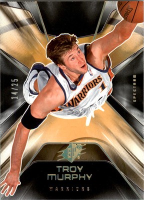 2006-07 SPx Spectrum #27 Troy Murphy /25 - BSK