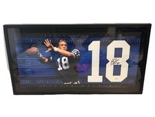 Indianapolis Colts Collecting and Fan Guide 86