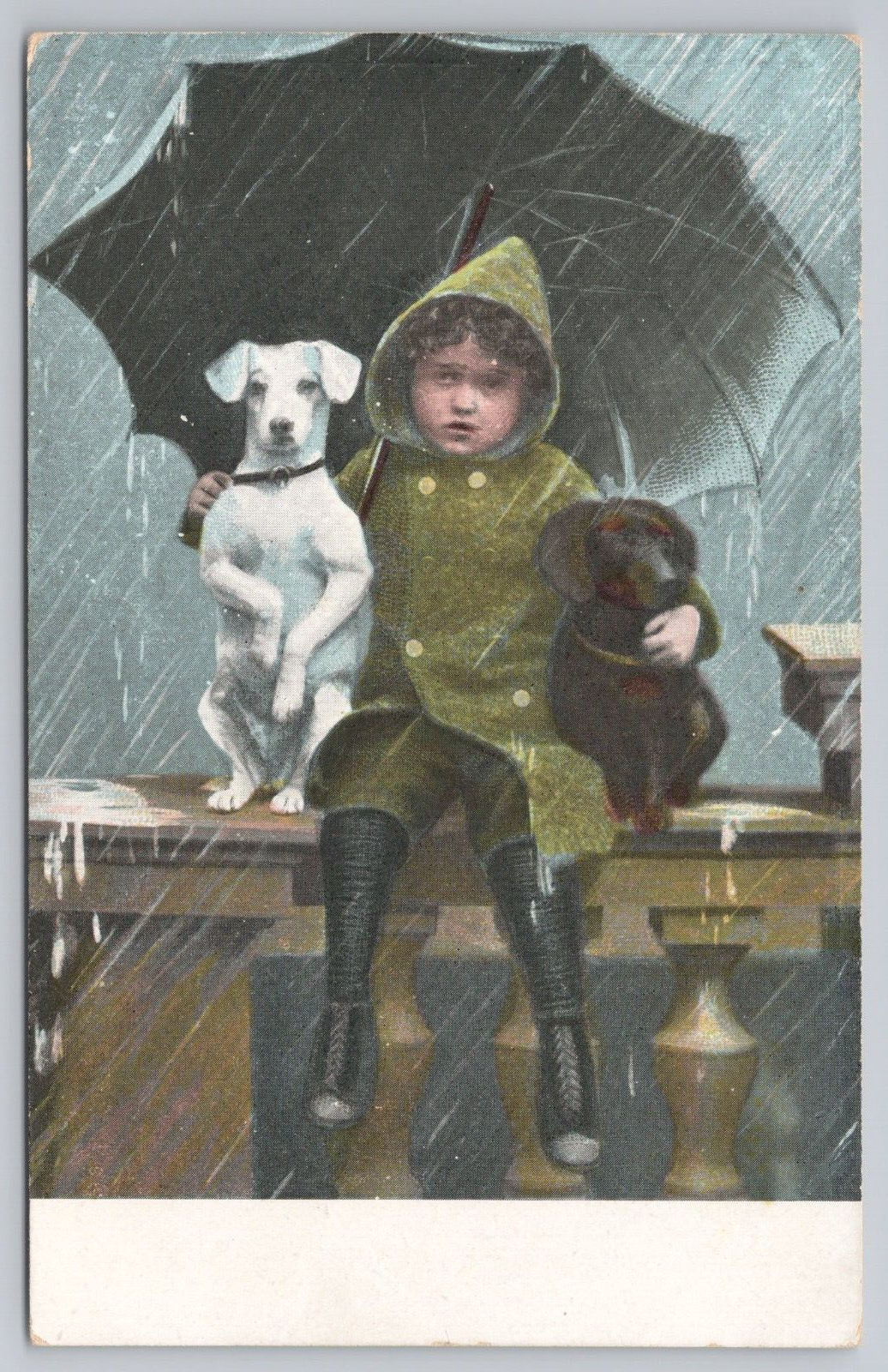 Child in Green Raincoat Under Big Umbrella with Two Dogs Sitting in the Rain UNP-image