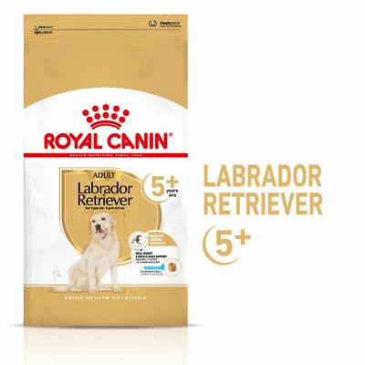 ROYAL CANIN Labrador Retriever Adult 5+ Trockenfutter für Hunde ab 5 Jahren 12k