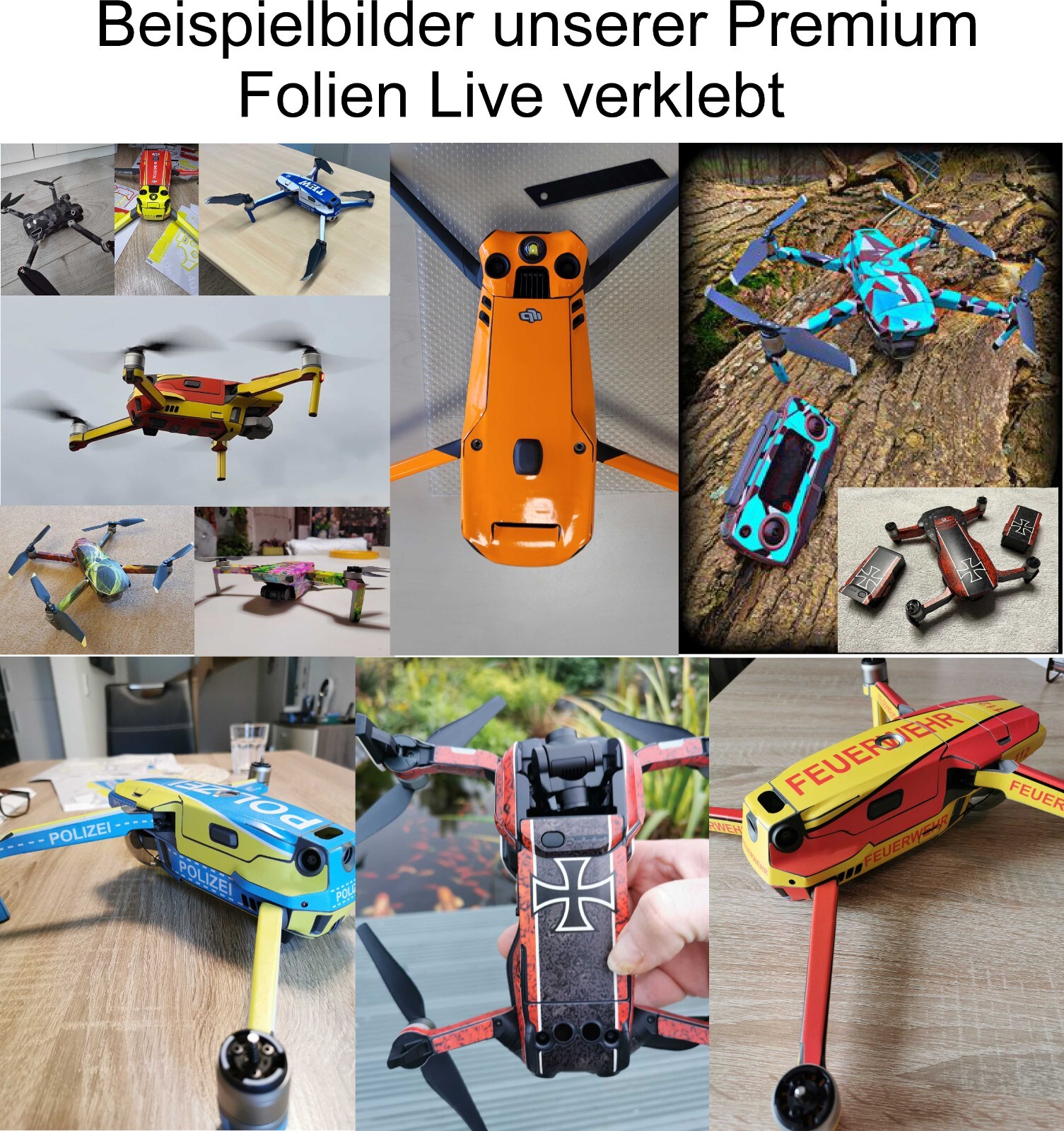 Bild 3 von 48