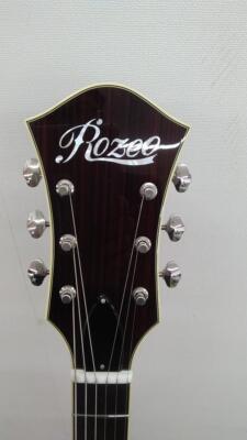 ROZEO Lady bug-CB CM HB SS Electric Guitar | eBay