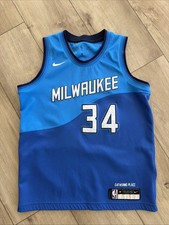 Nike Giannis Antetokounmpo Milwaukee Bucks Youth Jersey NBA  #34