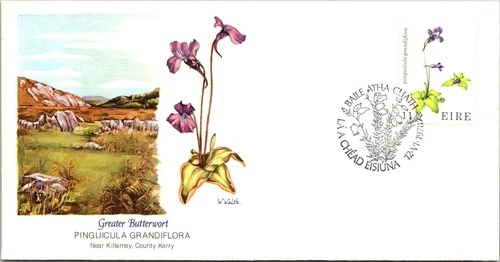 Ireland FDC 1978 Greater Butterwort / Fleetwood - Baile Atha Cliath - J26323