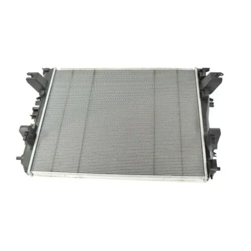 Raffreddatore acqua radiatore radiatore motore per Dodge Ram 2009-2024 - Foto 5 di 8