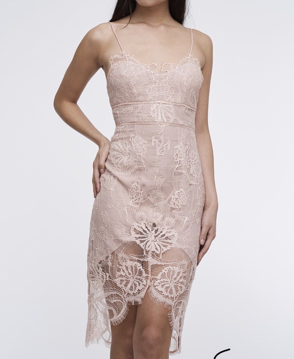 Stylestalker Lace Dress Pink Sofala Peony Midi small Stylestalker Lace Dress Pink Sofala Peony Midi small