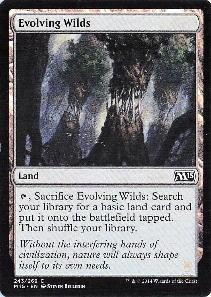 Evolving Wilds 243 Magic 2015 (M15) Magic: The Gathering NM